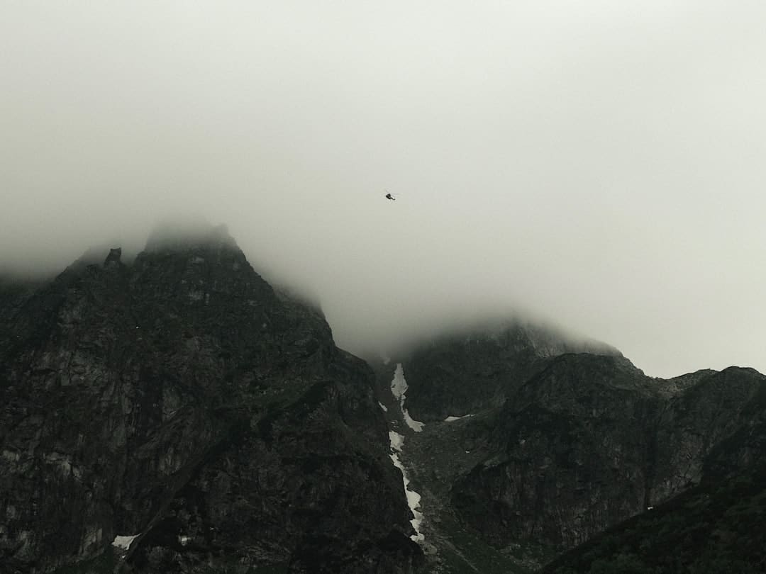 走近中医药“盛宴”泉州中医药文化活动惠万家